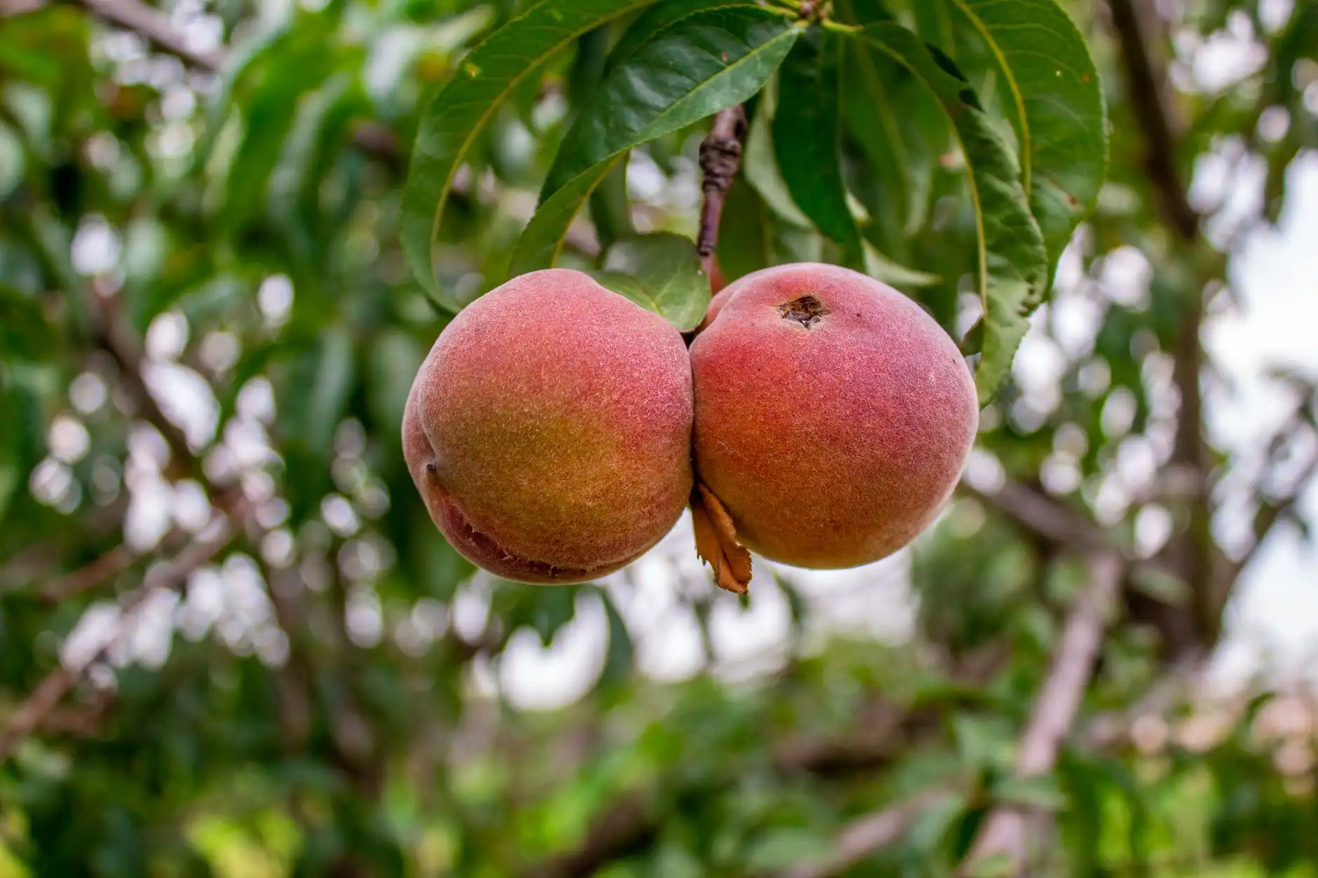 企业宣传片拍摄中的光影技术应用与画面质感提升要点