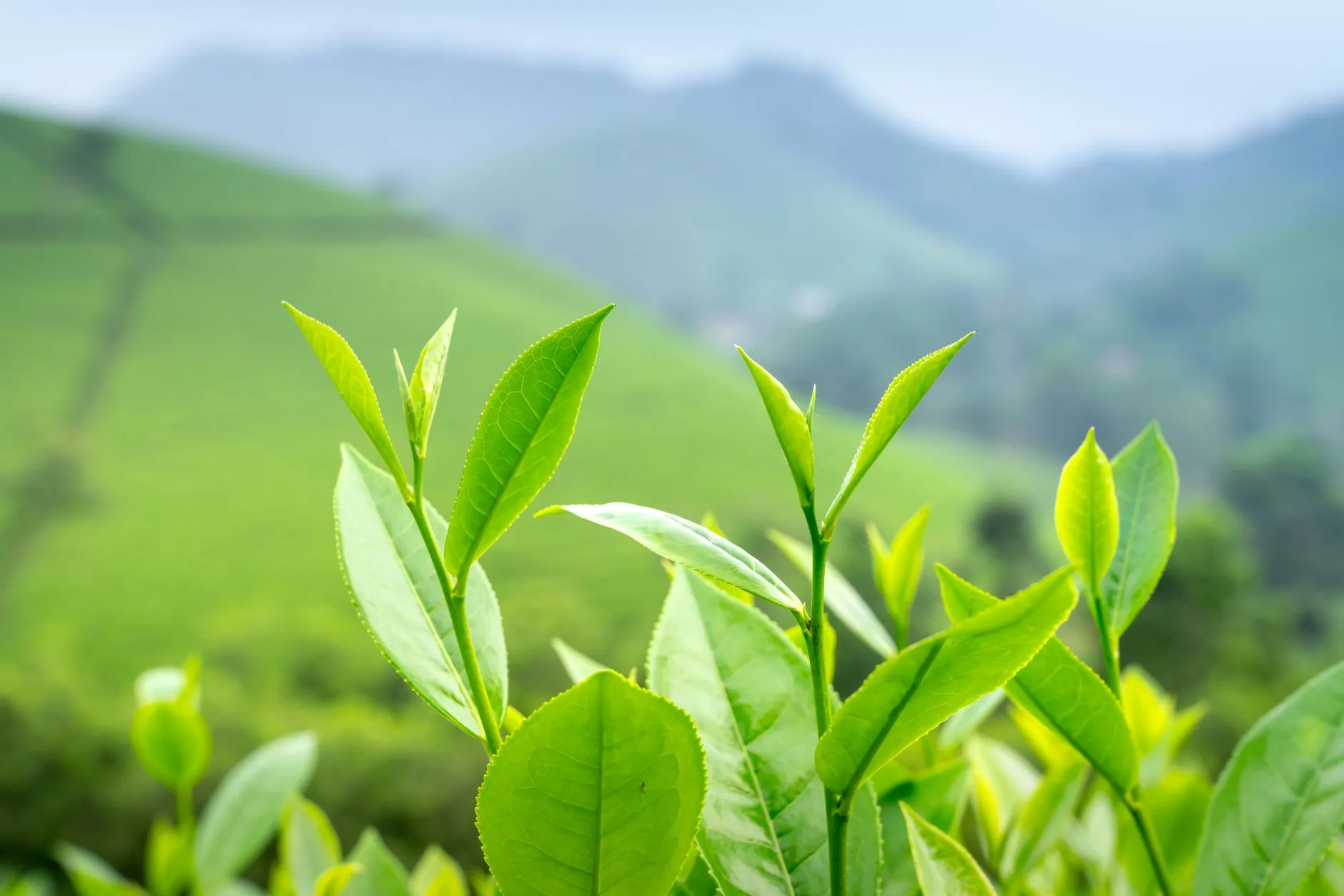 温州企业宣传片与活动录制服务对比：如何匹配不同业务需求