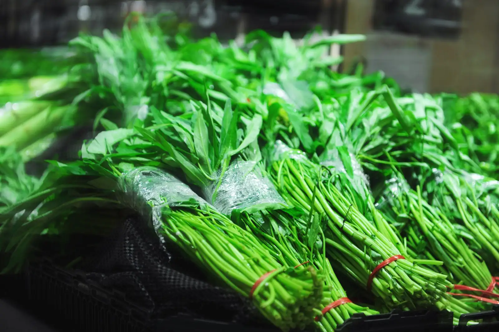 企业宣传片拍摄中的镜头语言运用与品牌形象塑造技巧