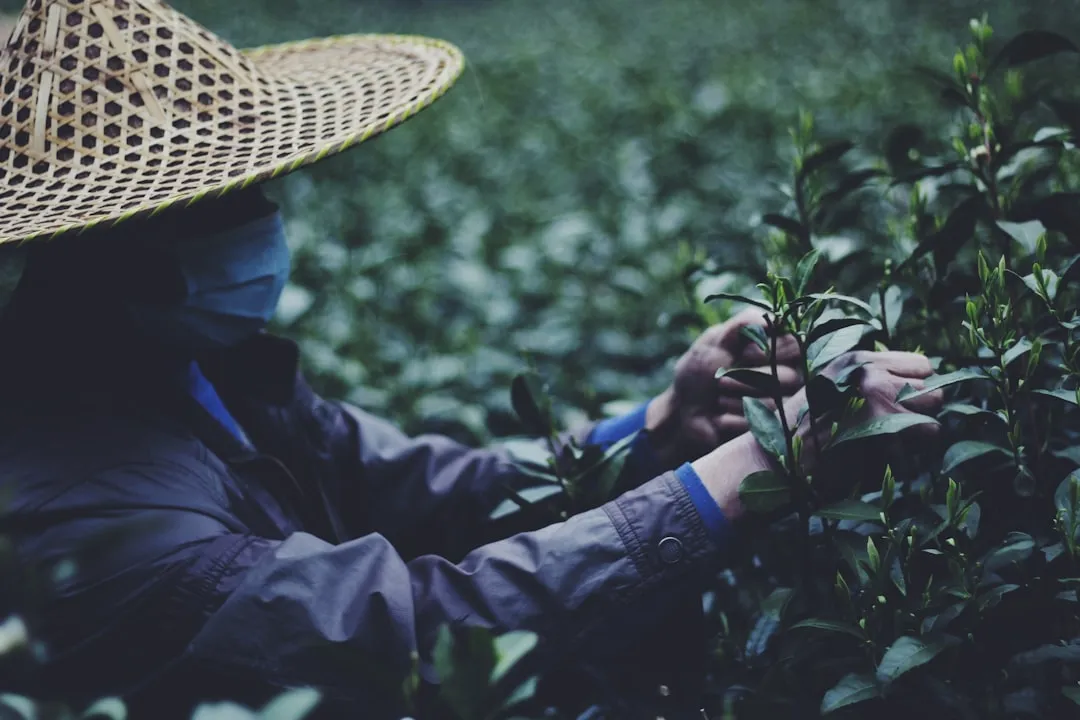企业宣传片拍摄流程详解：从前期策划到后期制作全解析
