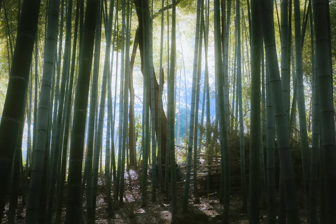 温州企业宣传片拍摄的行业新趋势：2025年视觉传播重点解析